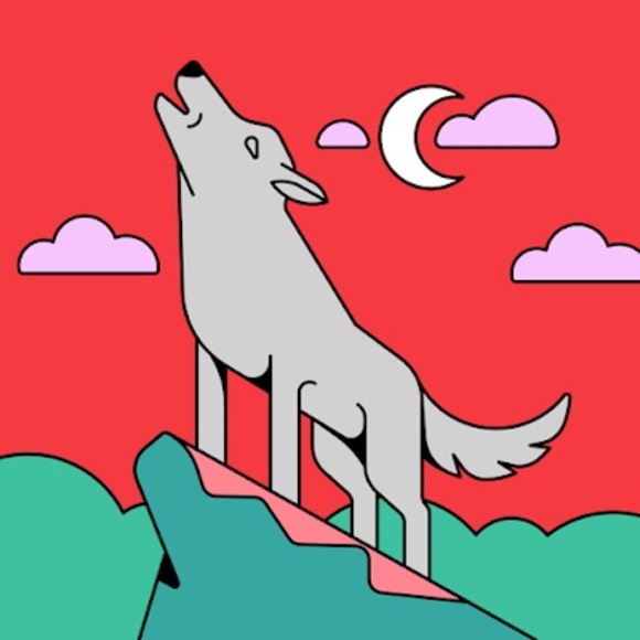 Meet your Posher, Sukru - Picture 1 of 1